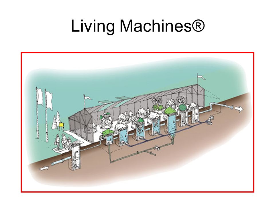 Living Machines®