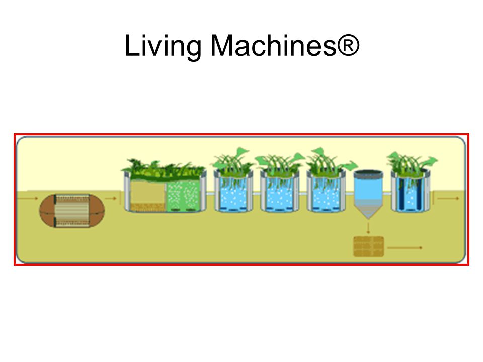Living Machines®