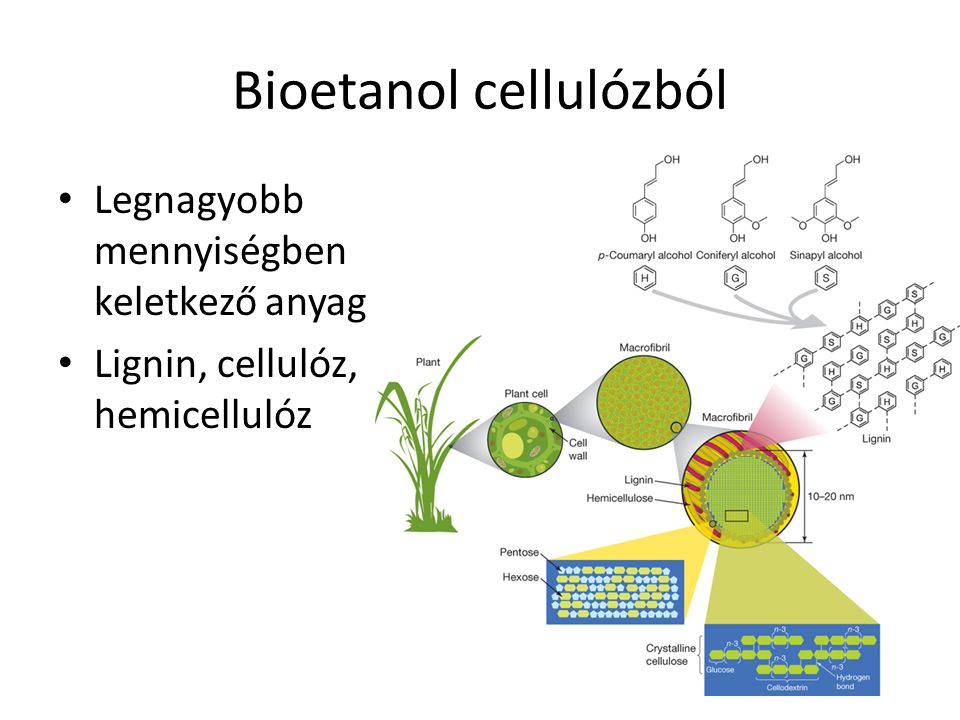 Bioetanol cellulózból