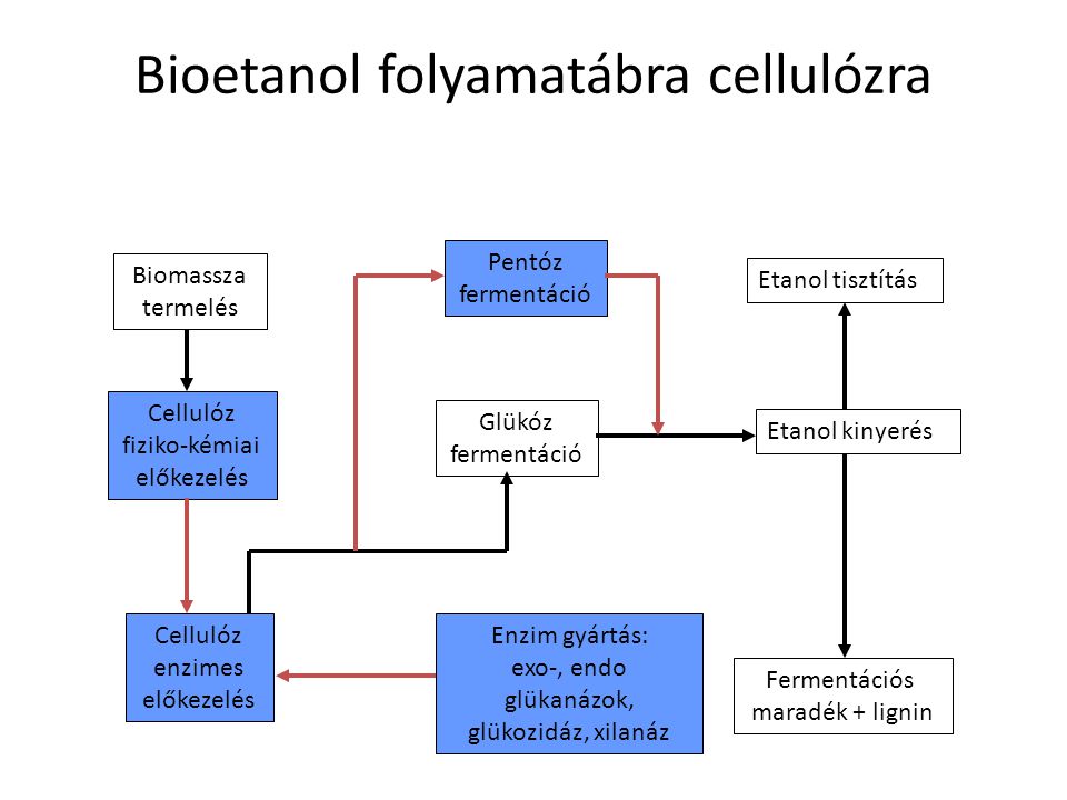 Bioetanol folyamatábra cellulózra