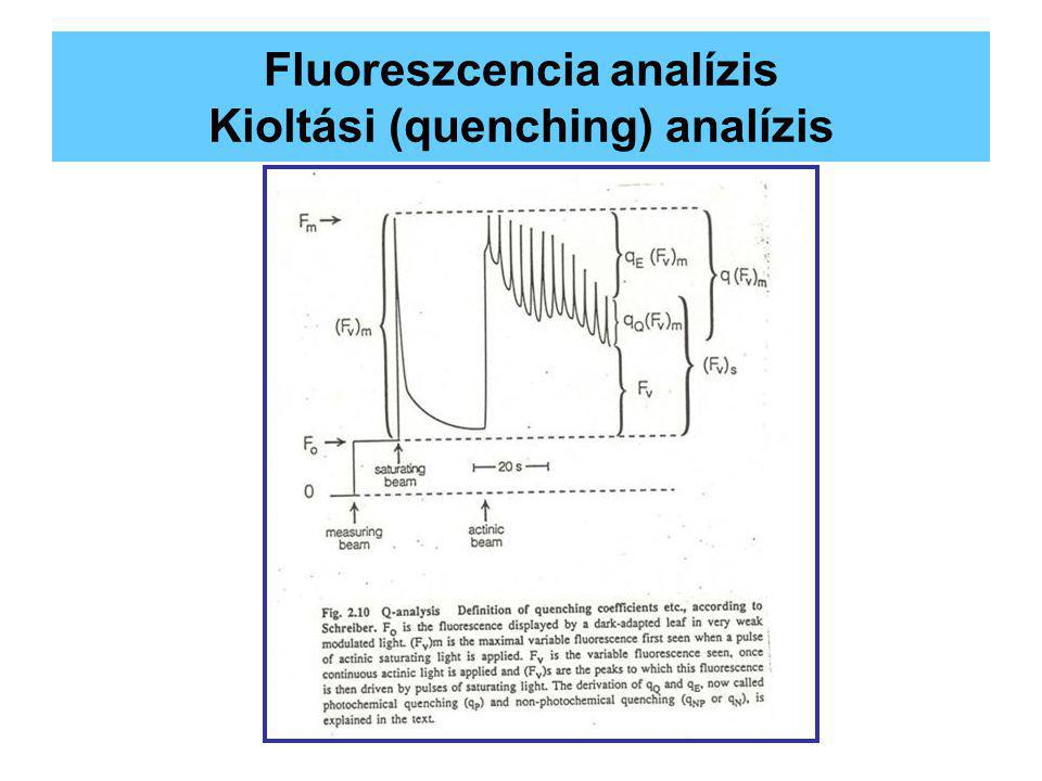 Fluoreszcencia analízis Kioltási (quenching) analízis