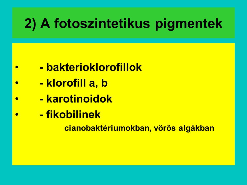 2) A fotoszintetikus pigmentek