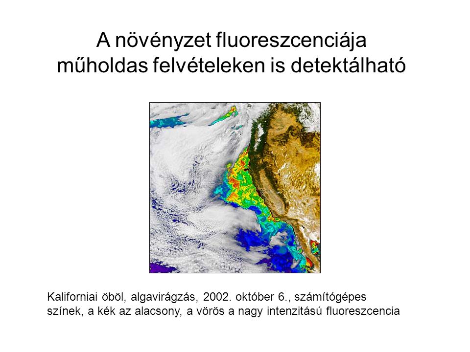 A növényzet fluoreszcenciája műholdas felvételeken is detektálható