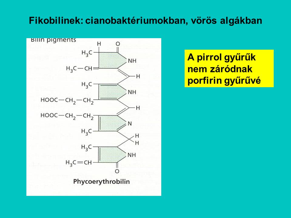 Fikobilinek: cianobaktériumokban, vörös algákban