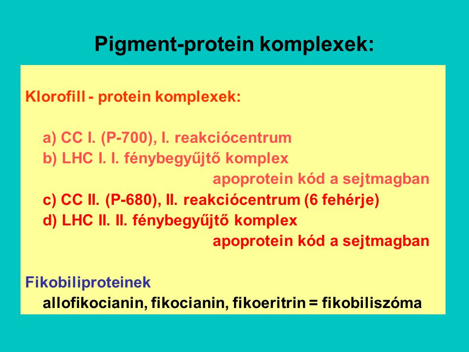 Pigment-protein komplexek: