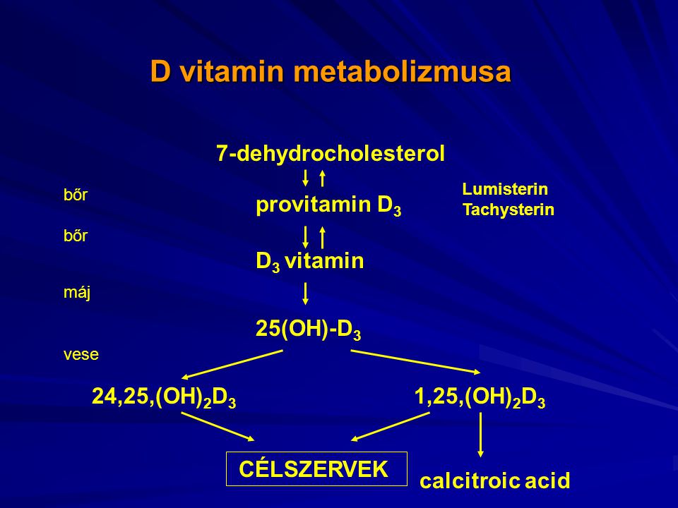 D vitamin metabolizmusa