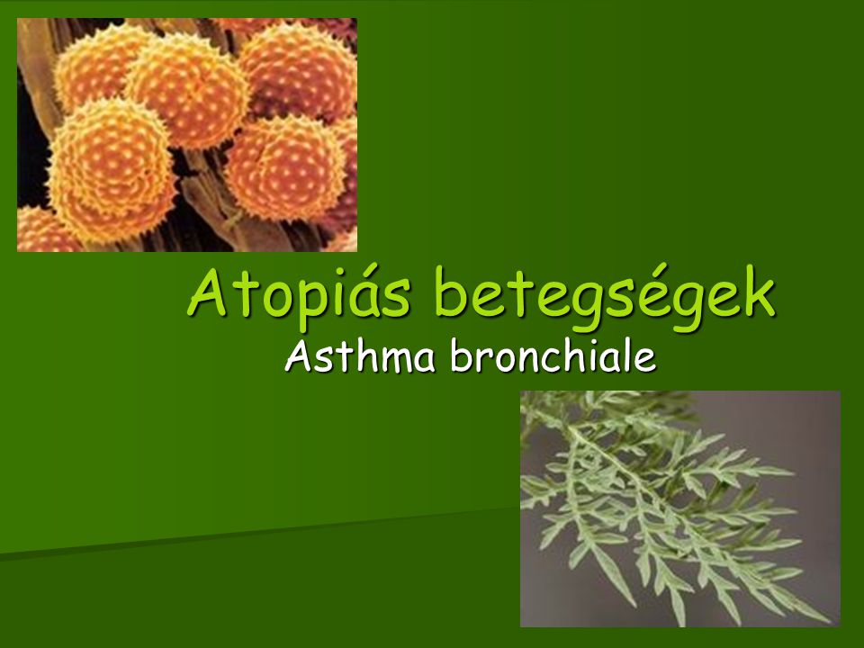 Atopiás betegségek Asthma bronchiale