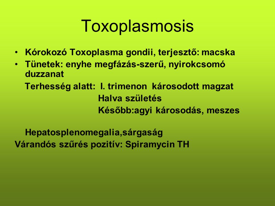 Toxoplasmosis Kórokozó Toxoplasma gondii, terjesztő: macska