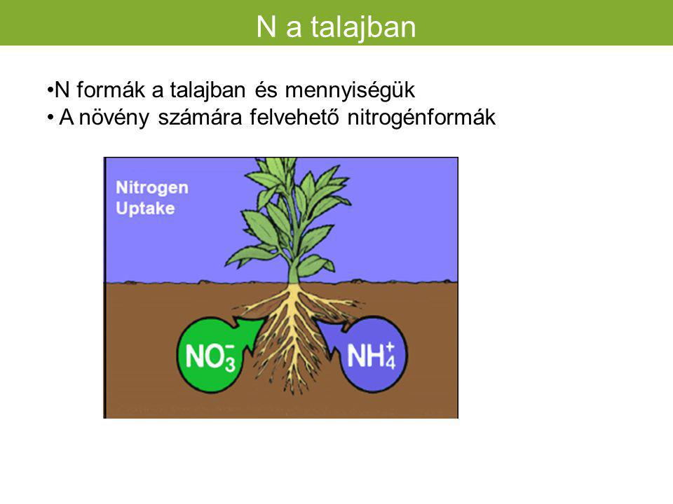 N a talajban N formák a talajban és mennyiségük