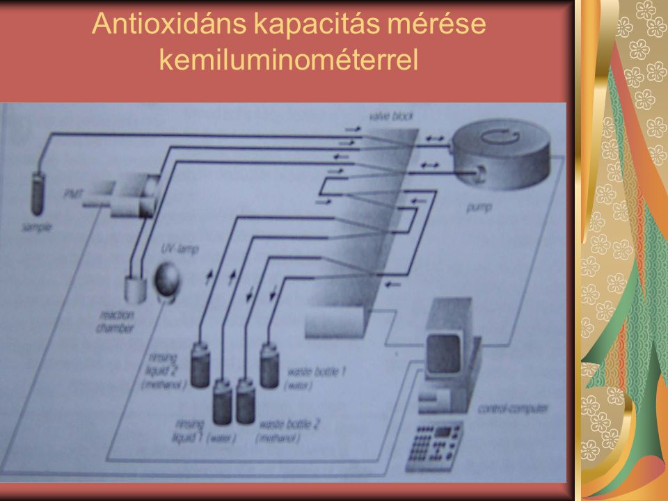 Antioxidáns kapacitás mérése kemiluminométerrel