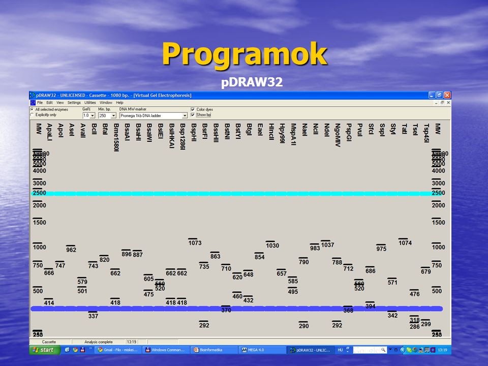 Programok pDRAW32