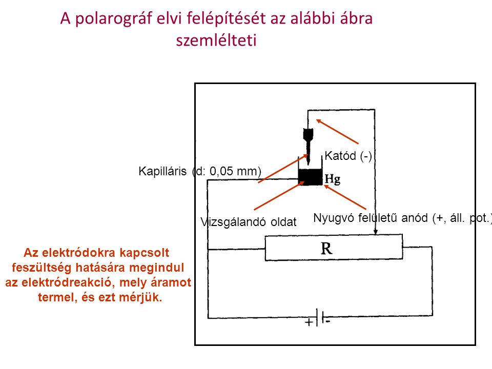 A polarográf elvi felépítését az alábbi ábra szemlélteti