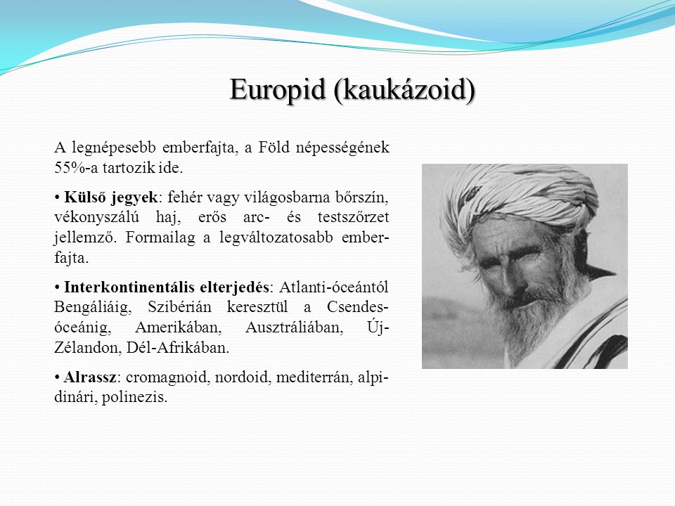 Europid (kaukázoid) A legnépesebb emberfajta, a Föld népességének 55%-a tartozik ide.