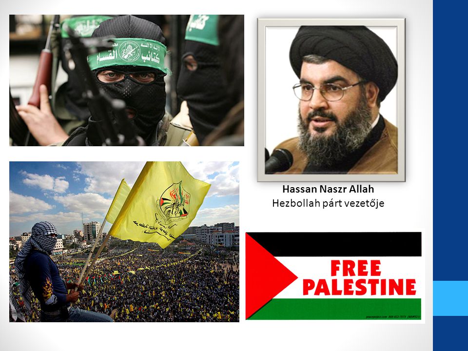 Hezbollah párt vezetője