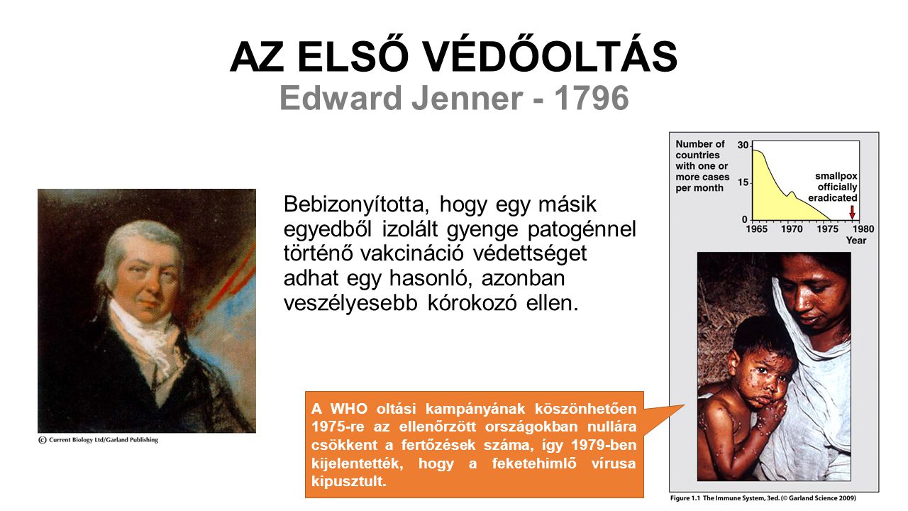 AZ ELSŐ VÉDŐOLTÁS Edward Jenner