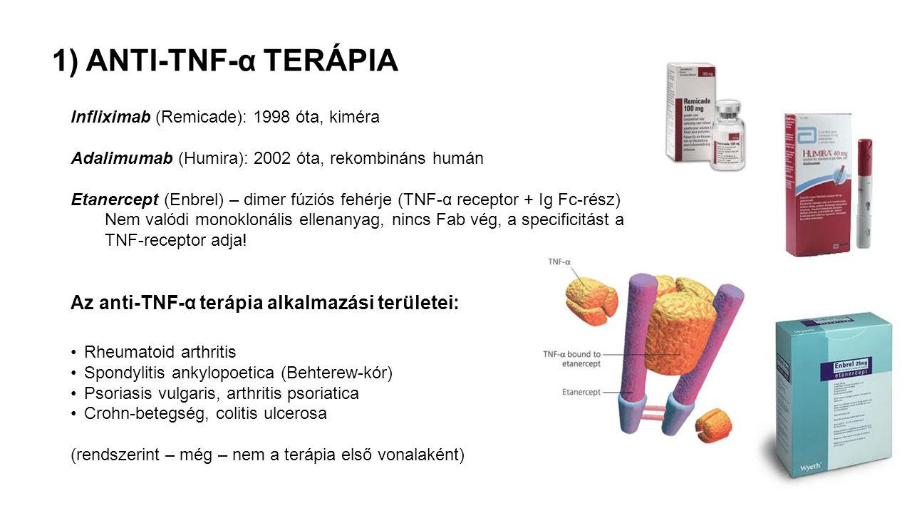 1) ANTI-TNF-α TERÁPIA Az anti-TNF-α terápia alkalmazási területei: