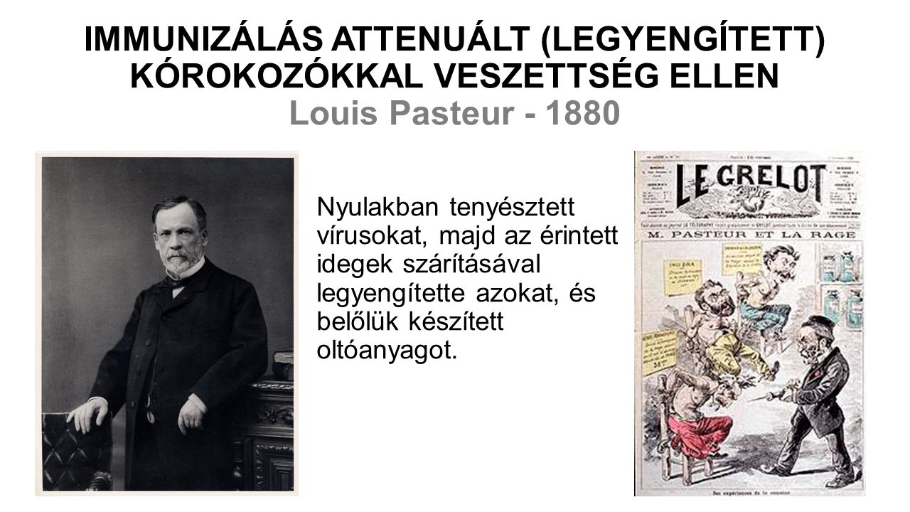 IMMUNIZÁLÁS ATTENUÁLT (LEGYENGÍTETT) KÓROKOZÓKKAL VESZETTSÉG ELLEN Louis Pasteur