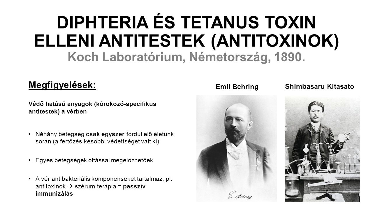 DIPHTERIA ÉS TETANUS TOXIN ELLENI ANTITESTEK (ANTITOXINOK) Koch Laboratórium, Németország, 1890.