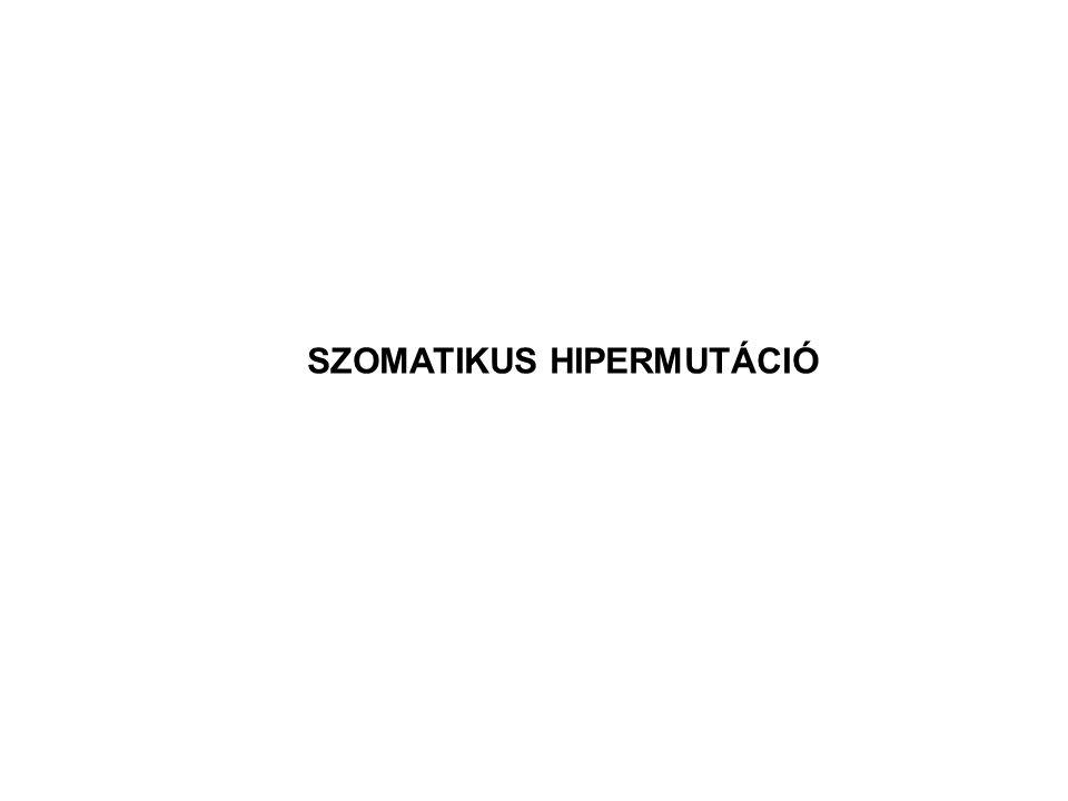 SZOMATIKUS HIPERMUTÁCIÓ