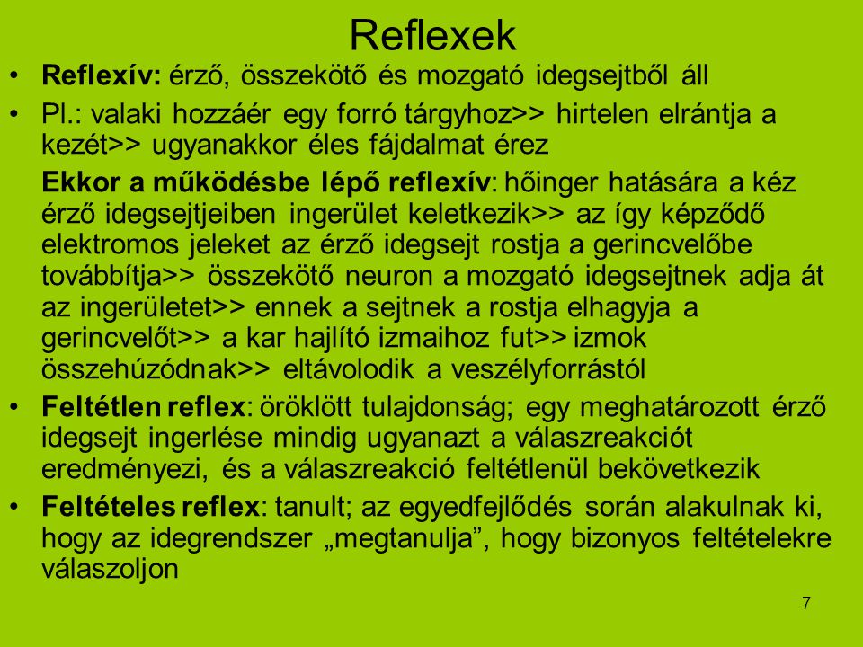 Reflexek Reflexív: érző, összekötő és mozgató idegsejtből áll