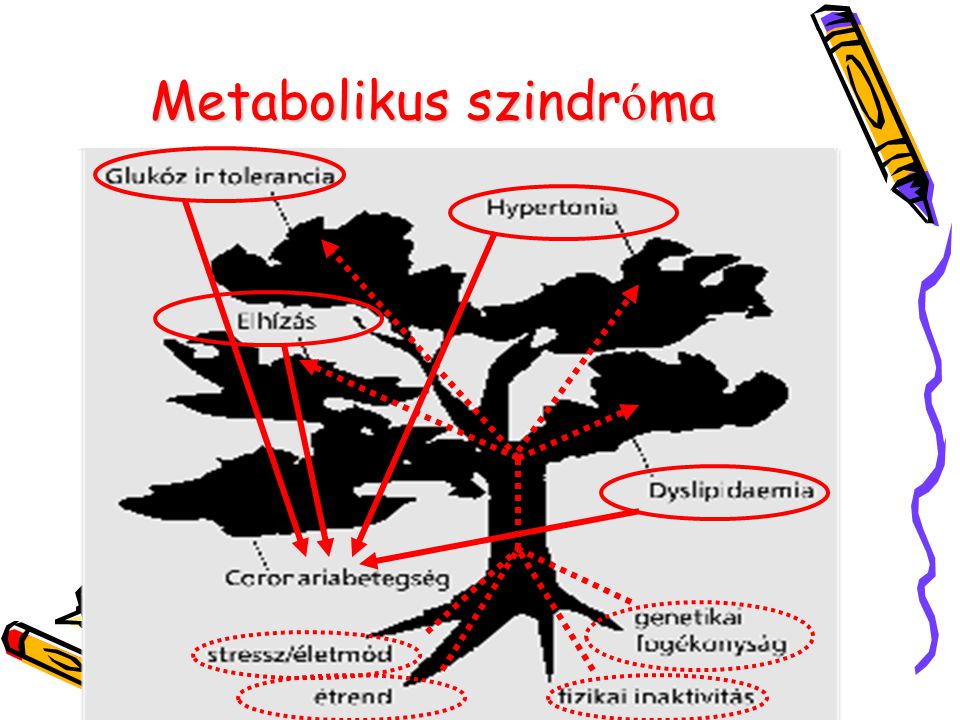 metabolikus szindróma hipertónia kezelése)