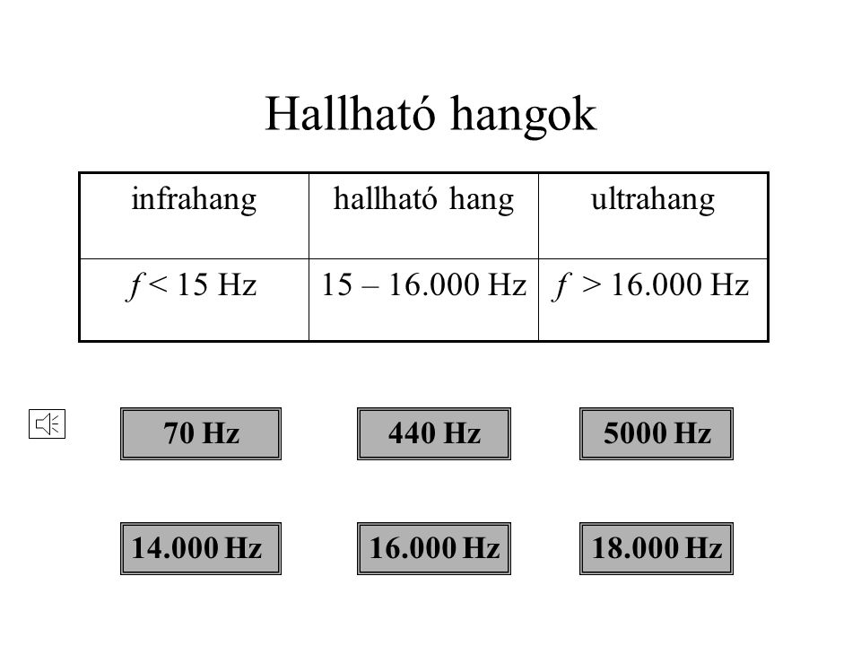 Hallható hangok f > Hz 15 – Hz f < 15 Hz ultrahang