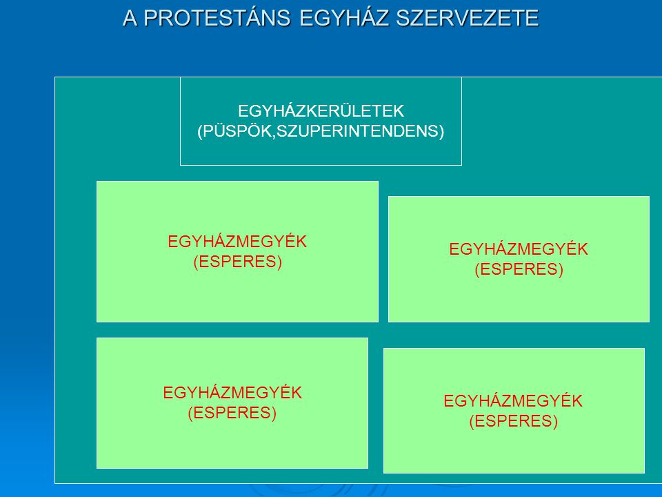 A PROTESTÁNS EGYHÁZ SZERVEZETE