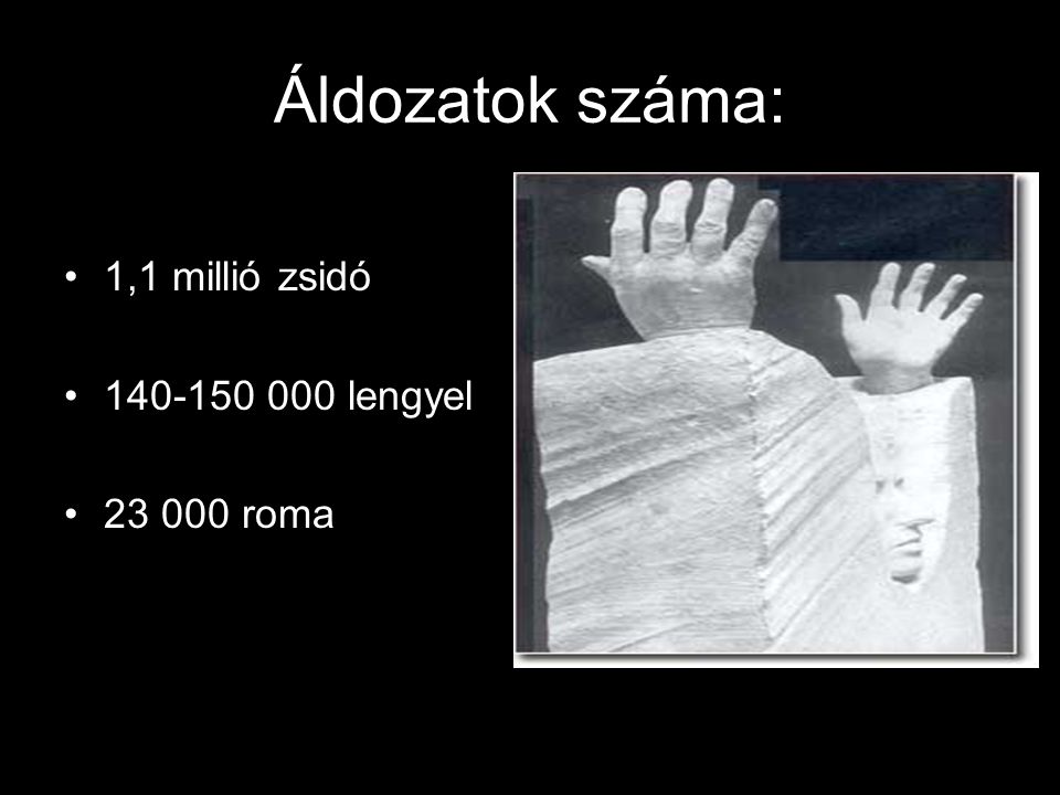 Áldozatok száma: 1,1 millió zsidó lengyel roma