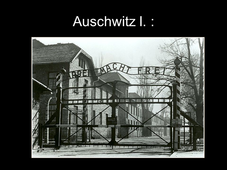 Auschwitz I. :