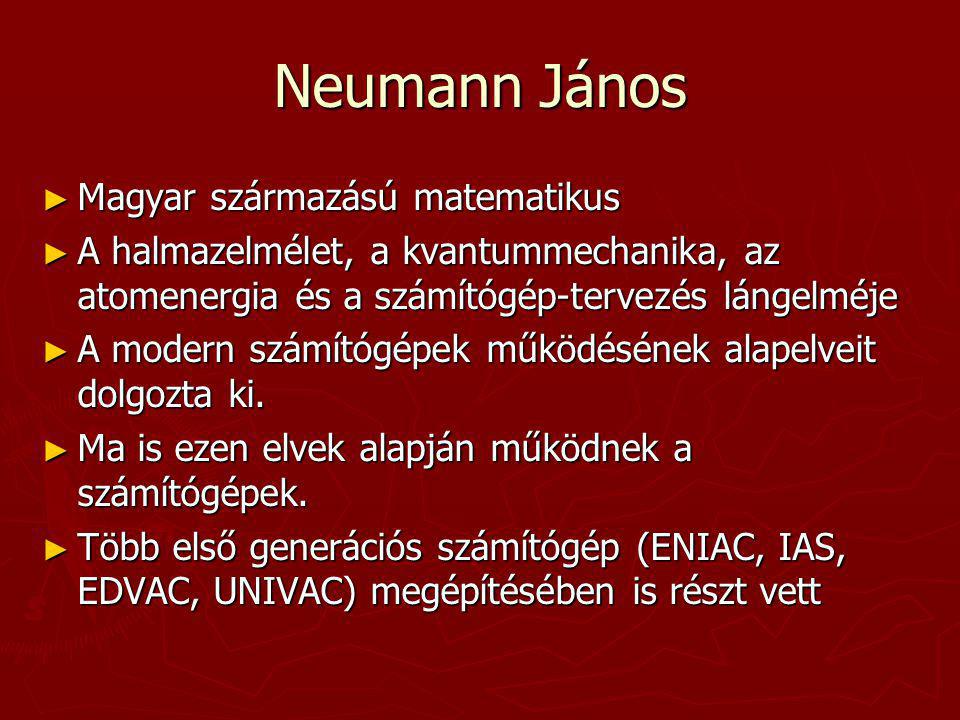 Neumann János Magyar származású matematikus