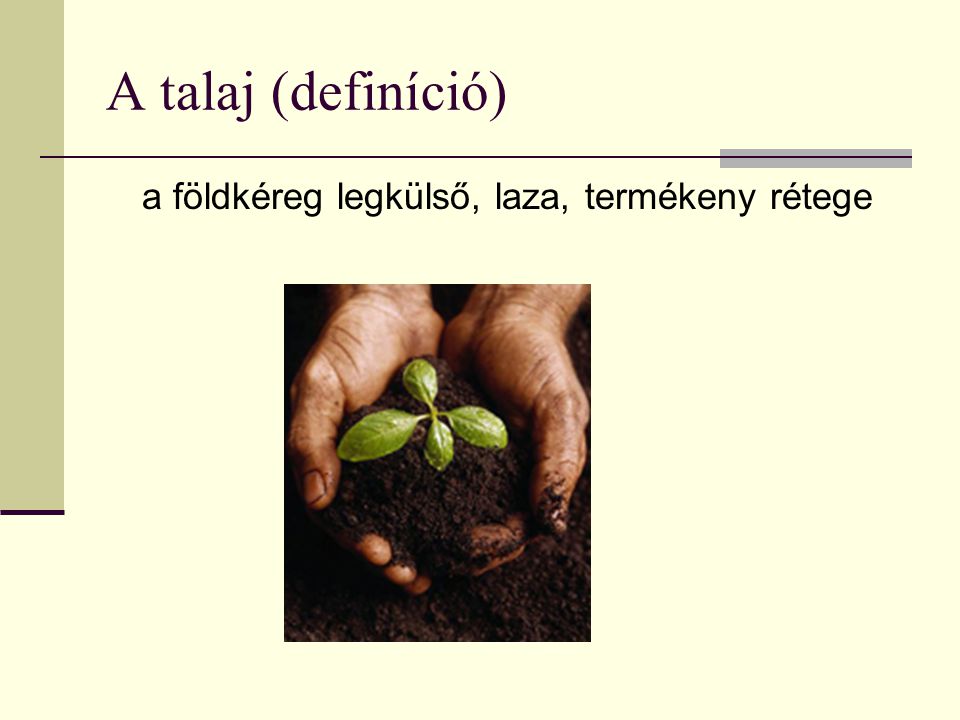 A talaj (definíció) a földkéreg legkülső, laza, termékeny rétege