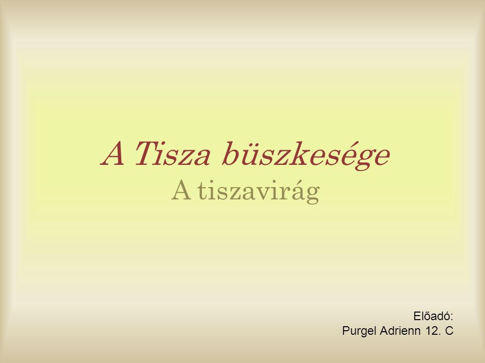 A Tisza büszkesége A tiszavirág Előadó: Purgel Adrienn 12. C