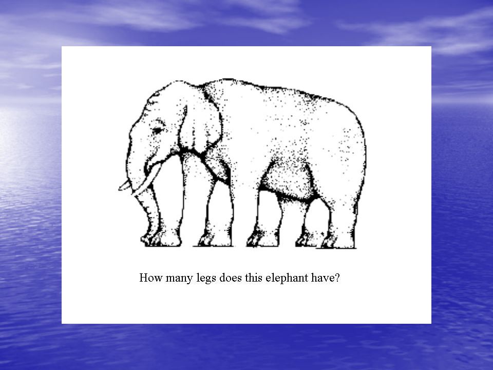 Hány lába van az elefántnak
