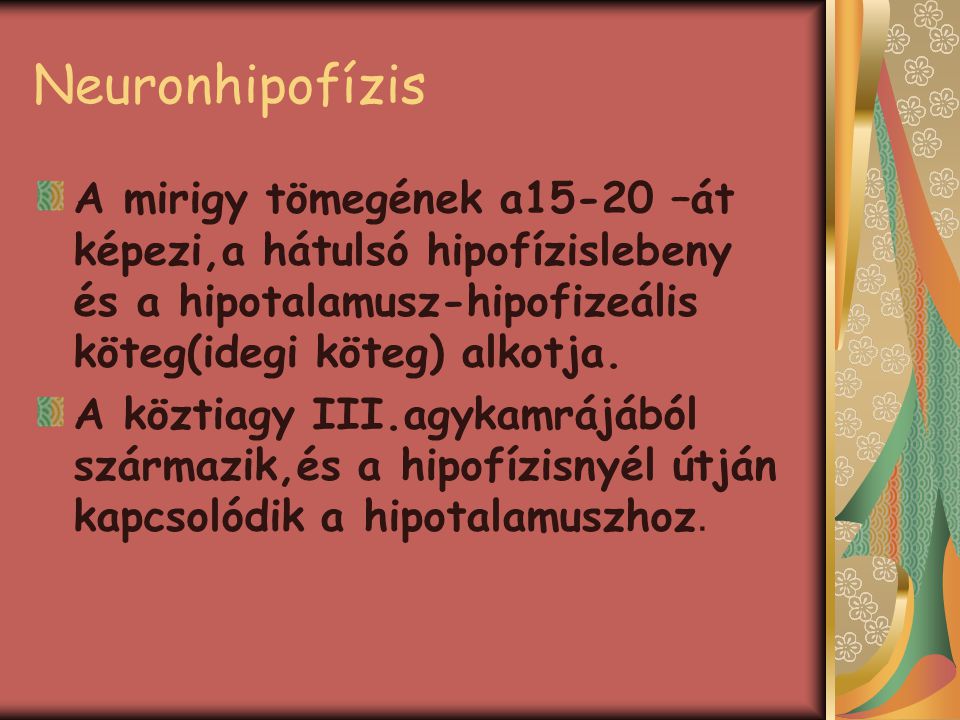 Neuronhipofízis A mirigy tömegének a15-20 –át képezi,a hátulsó hipofízislebeny és a hipotalamusz-hipofizeális köteg(idegi köteg) alkotja.
