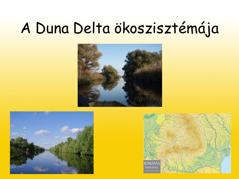 A Duna Delta ökoszisztémája