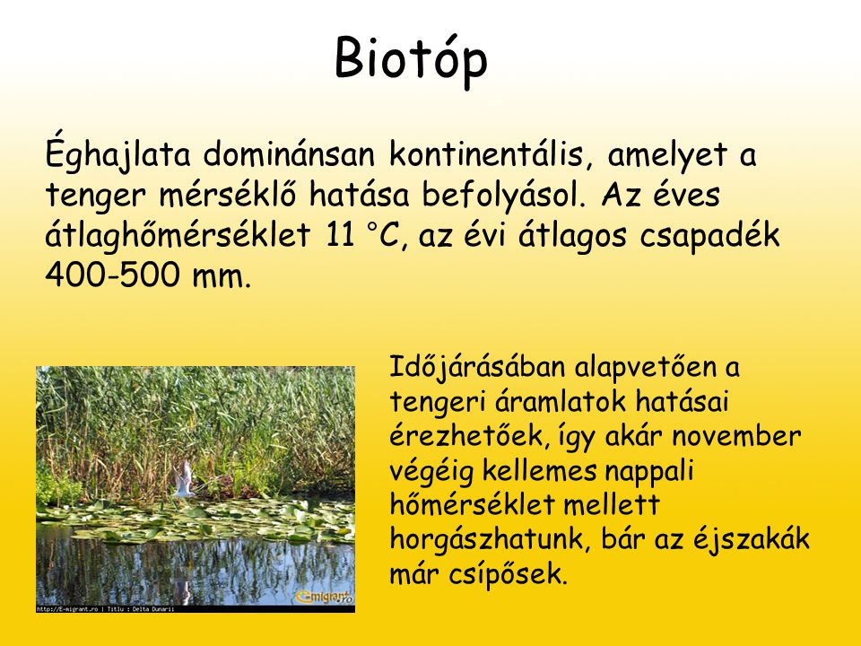 Biotóp