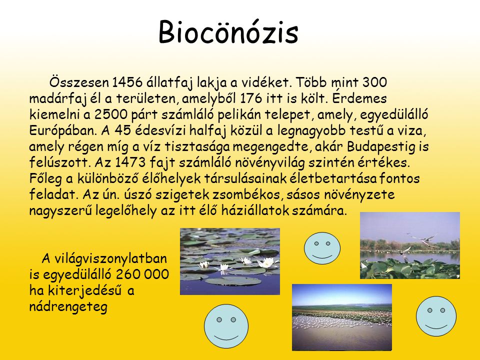 Biocönózis