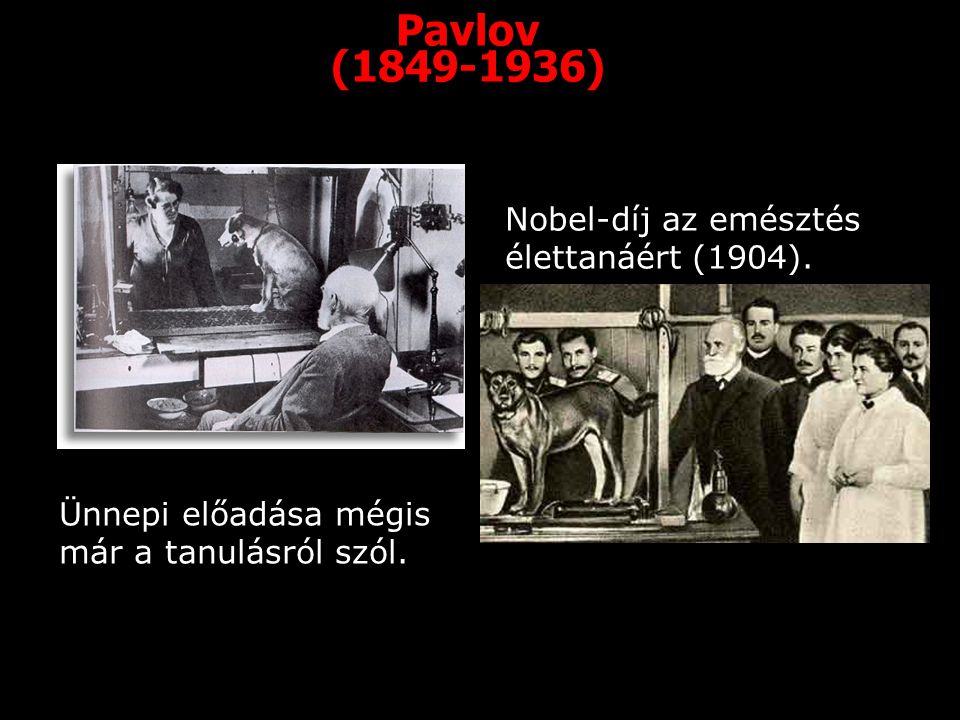 Pavlov ( ) Nobel-díj az emésztés élettanáért (1904).