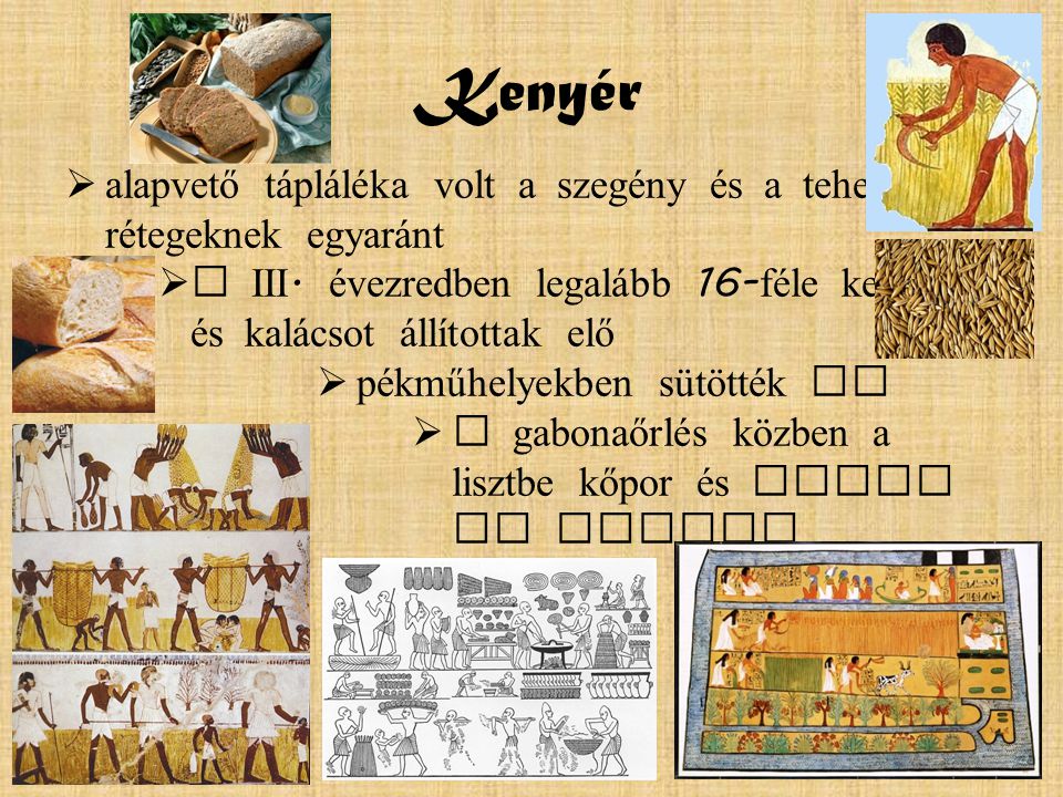 Kenyér alapvető tápláléka volt a szegény és a tehetős rétegeknek egyaránt. a III. évezredben legalább 16-féle kenyeret és kalácsot állítottak elő.