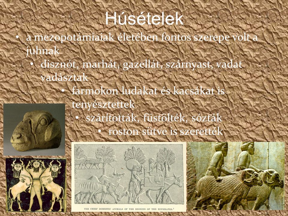 Húsételek a mezopotámiaiak életében fontos szerepe volt a juhnak