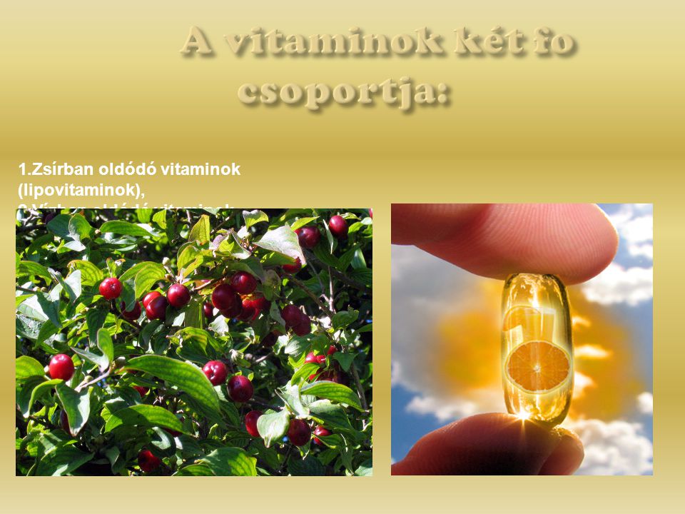 A vitaminok két fo csoportja: