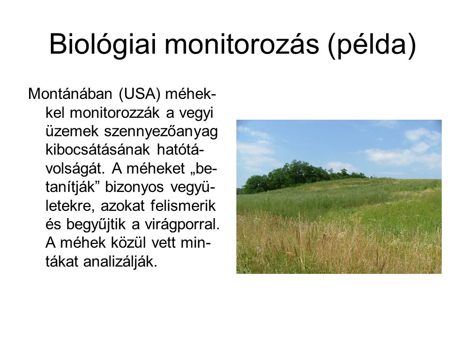 Biológiai monitorozás (példa)