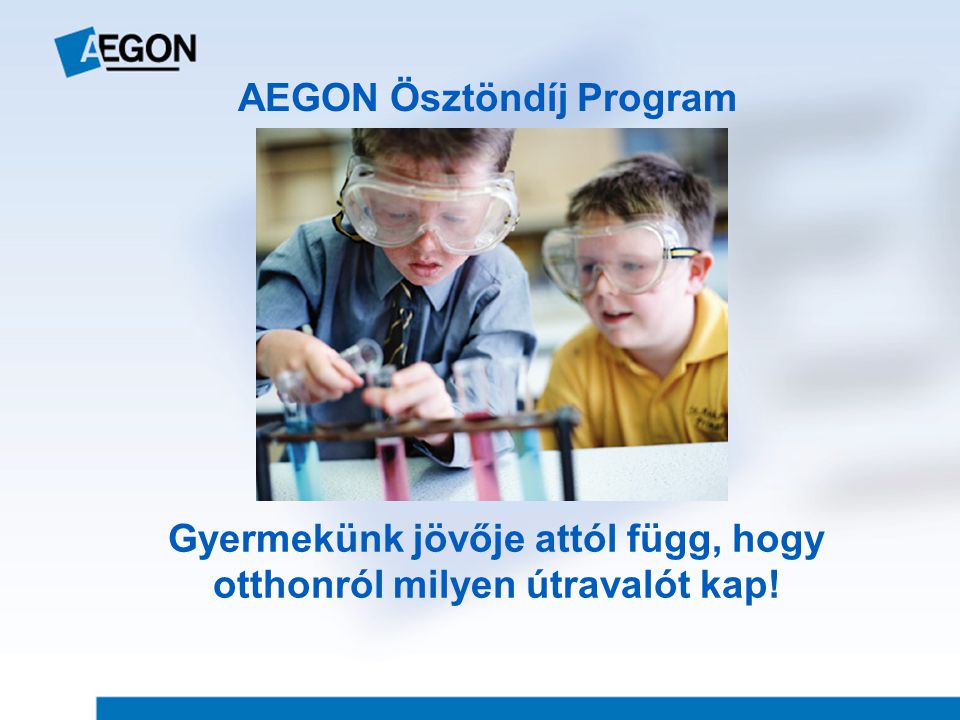 AEGON Ösztöndíj Program