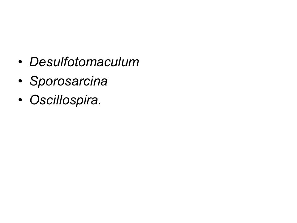 Desulfotomaculum Sporosarcina Oscillospira.