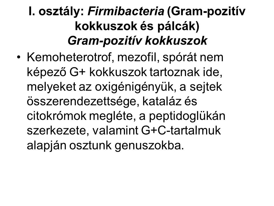 I. osztály: Firmibacteria (Gram-pozitív kokkuszok és pálcák) Gram-pozitív kokkuszok