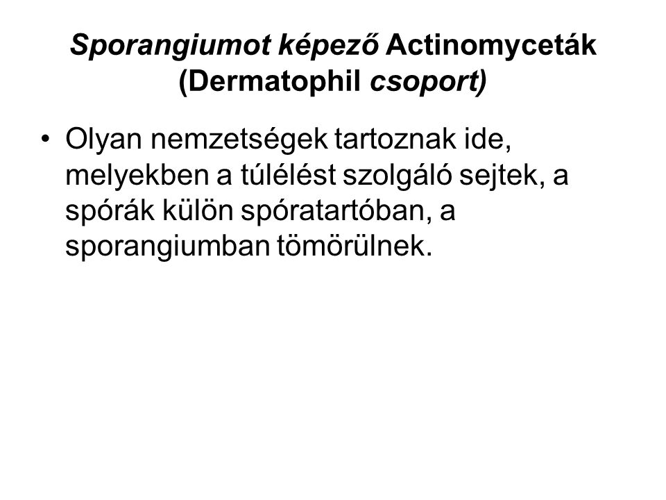 Sporangiumot képező Actinomyceták (Dermatophil csoport)