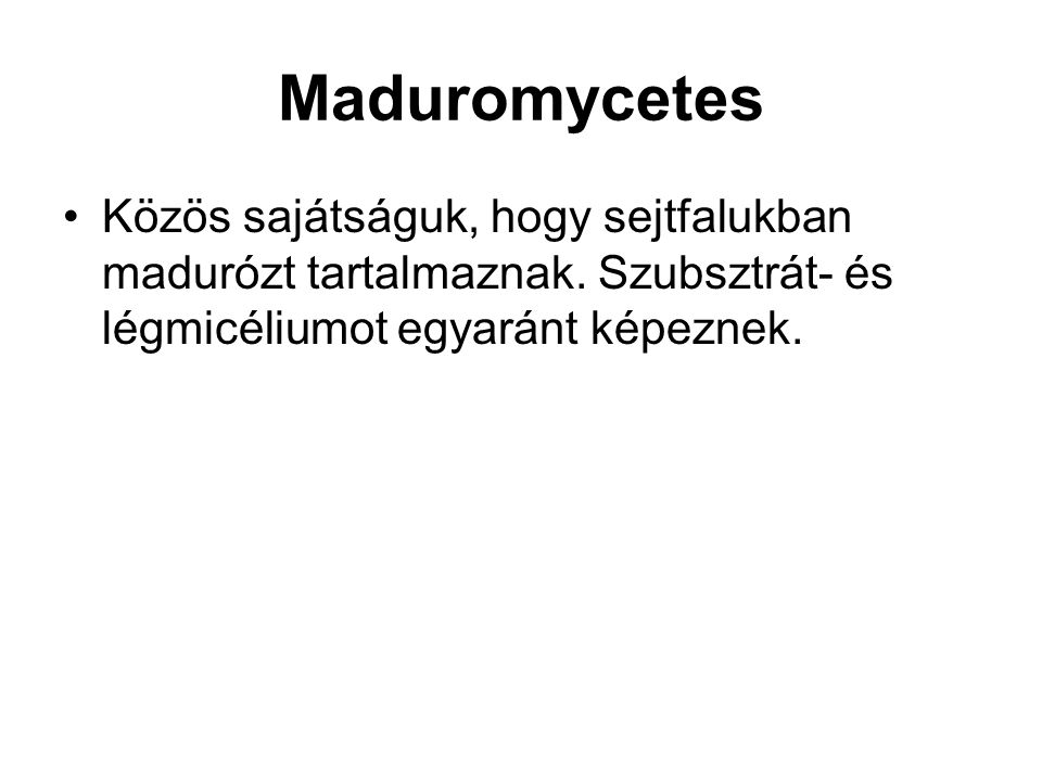 Maduromycetes Közös sajátságuk, hogy sejtfalukban madurózt tartalmaznak.