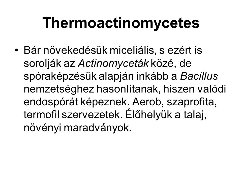 Thermoactinomycetes