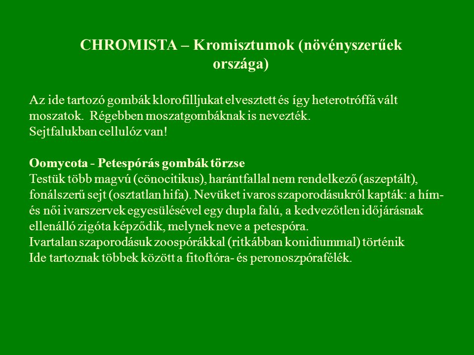 CHROMISTA – Kromisztumok (növényszerűek