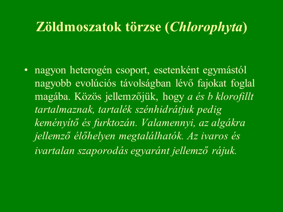 Zöldmoszatok törzse (Chlorophyta)